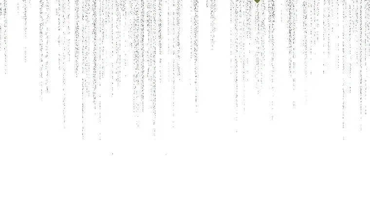 Page 1.002