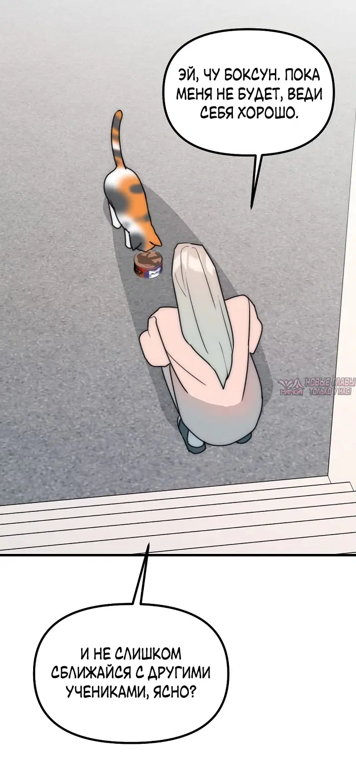 Page 19.000
