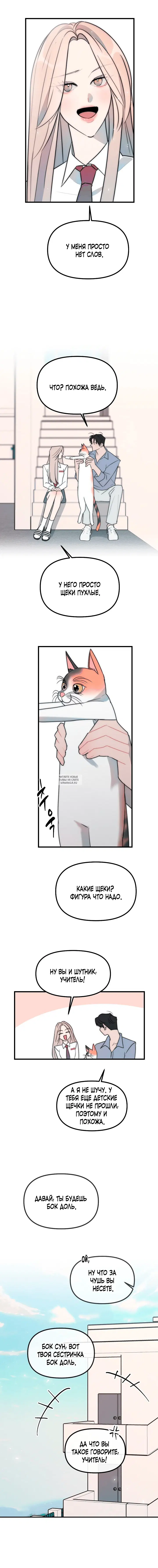 Page 3.000