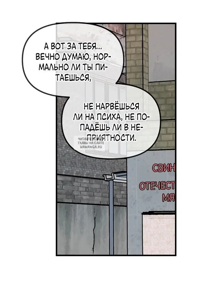 Page 43.000