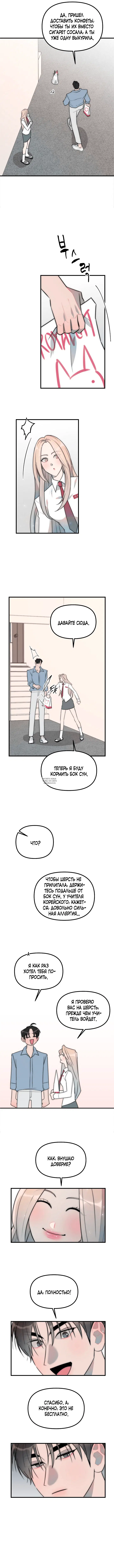 Page 6.000