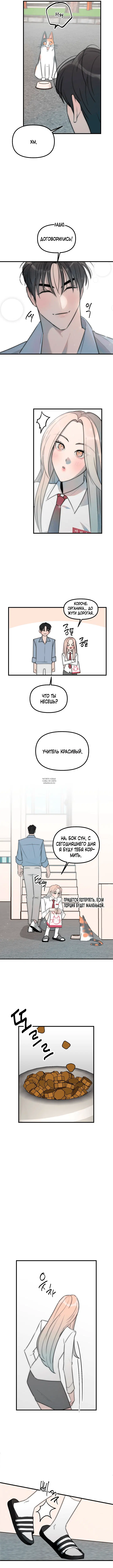 Page 8.000