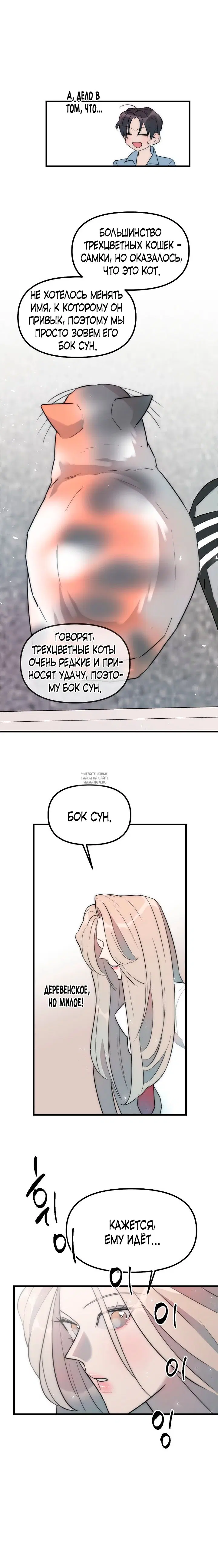 Page 9.000