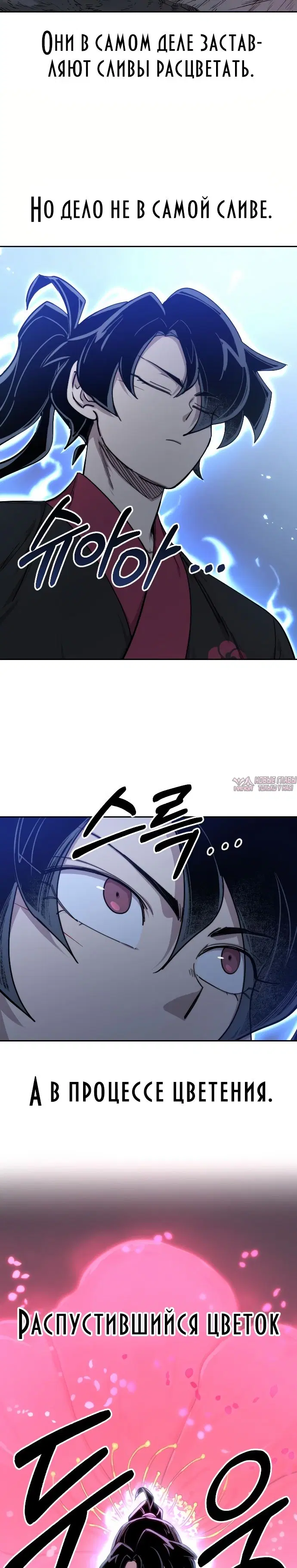 Page 29.000000000