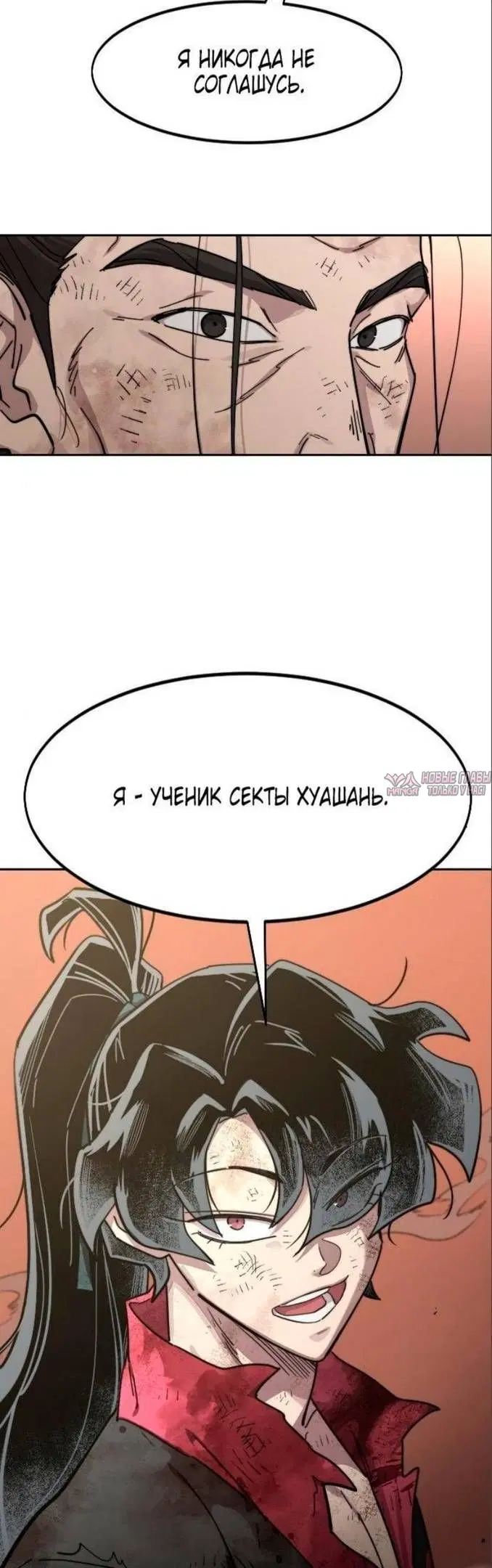 «Возрождение Хуашань», глава 110, страница 39.000000000
