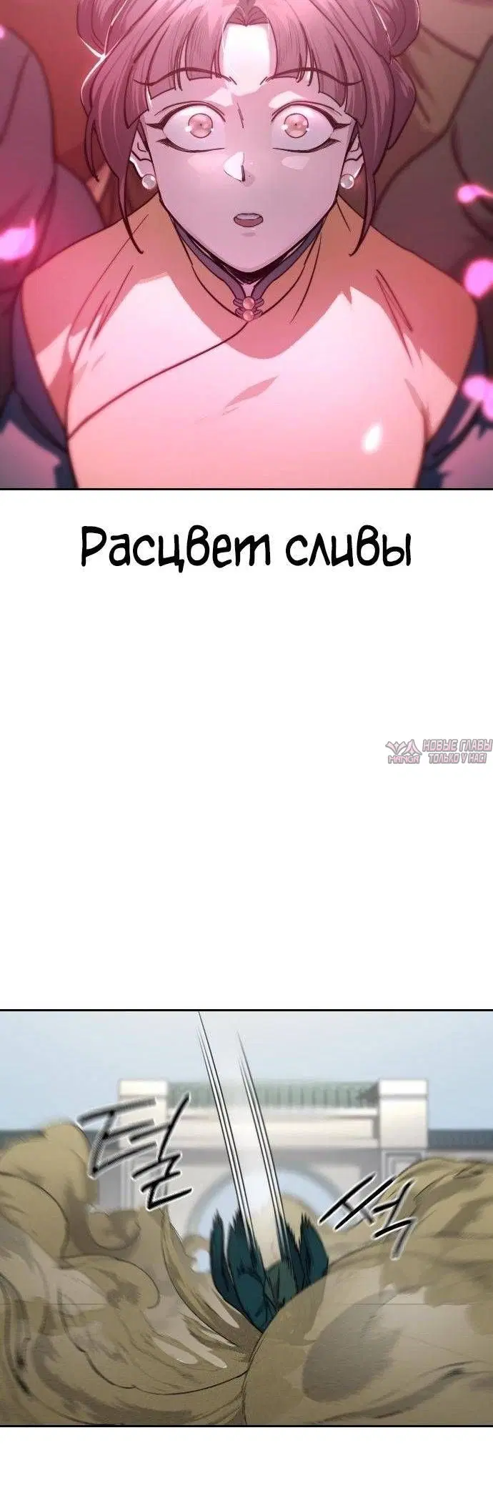 «Возрождение Хуашань», глава 143, страница 33.000000000