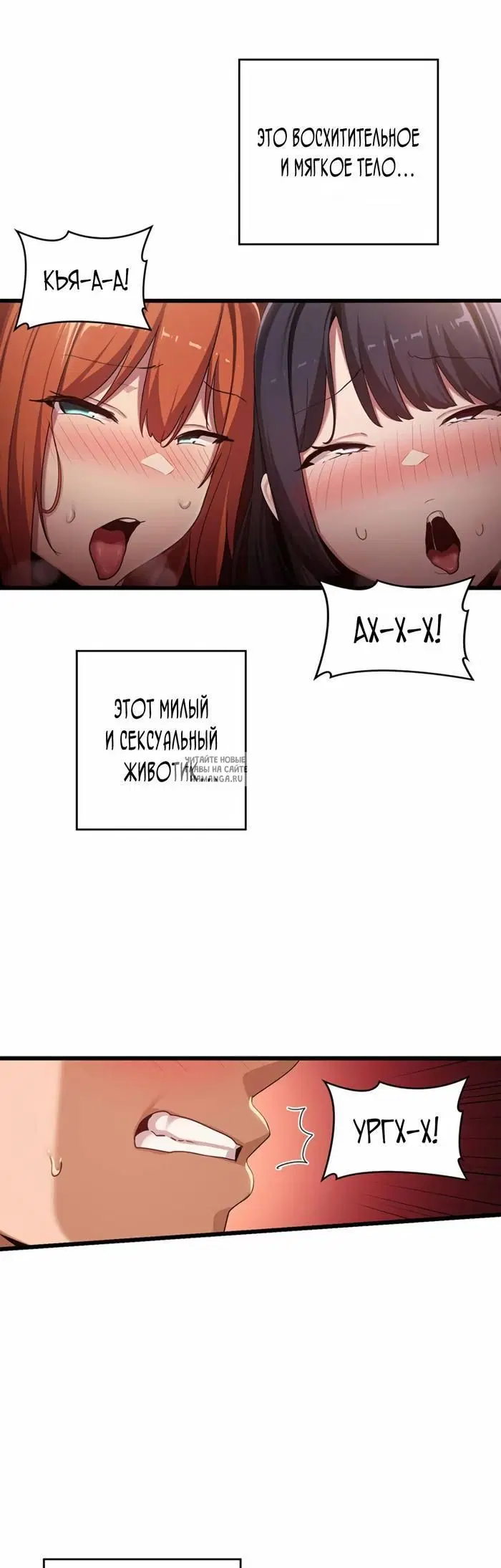 Page 3.000