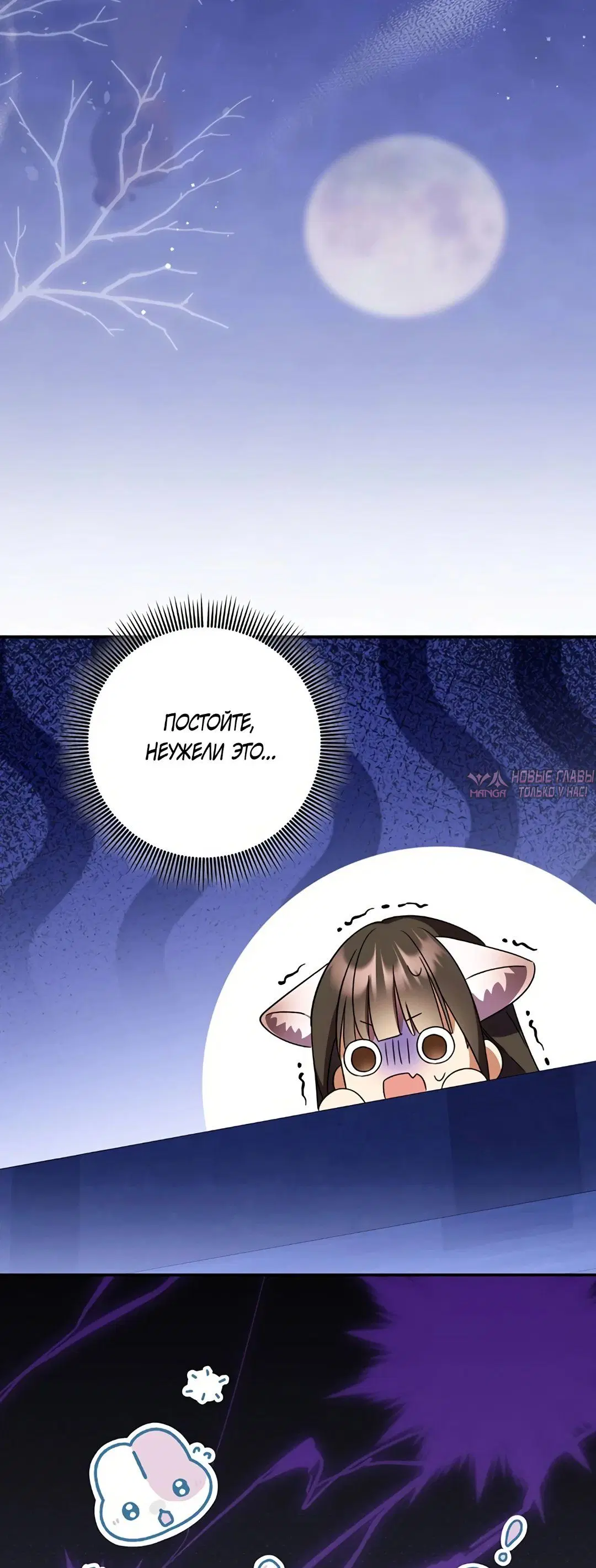 Page 40.000