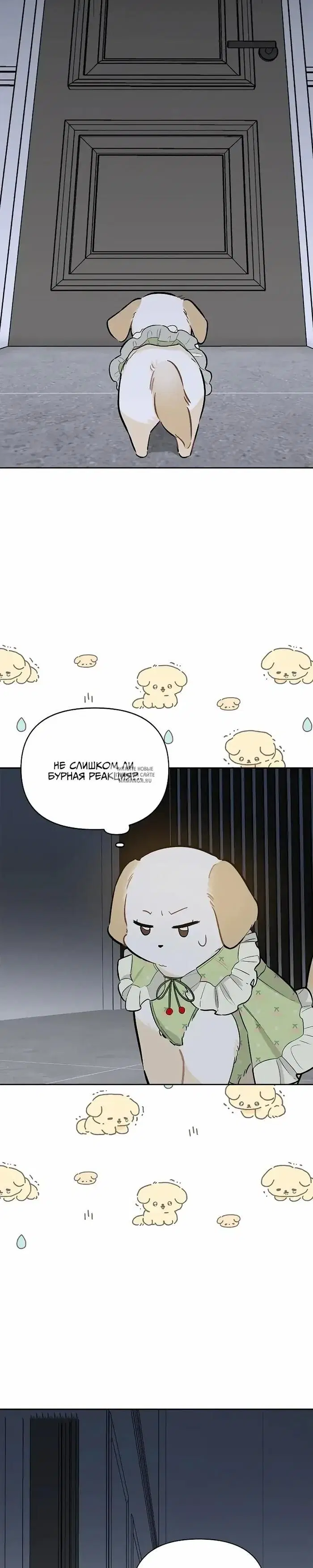 Page 15.000
