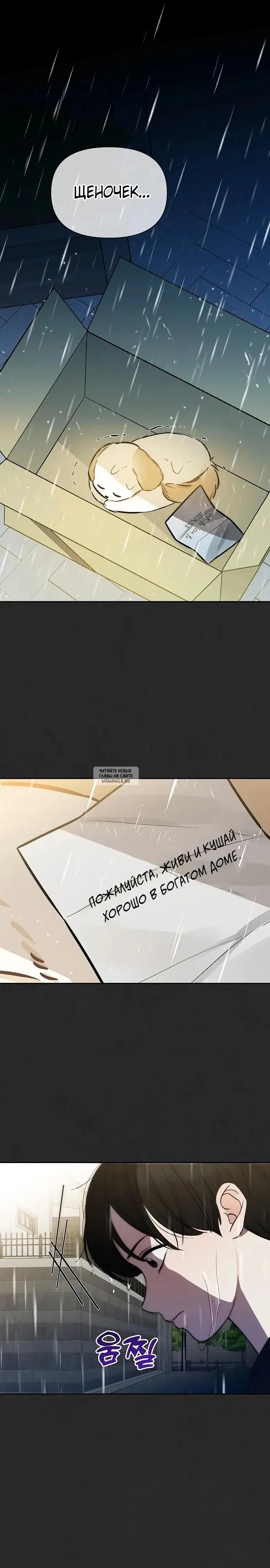 Page 16.000