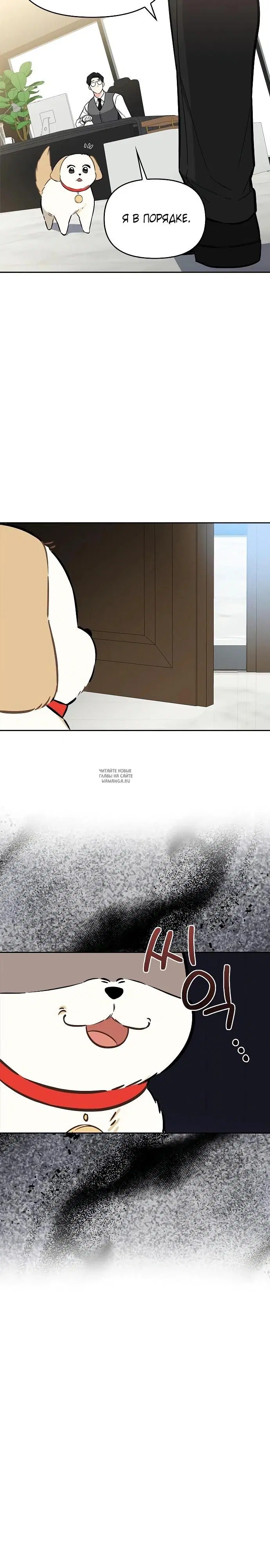 Page 17.000