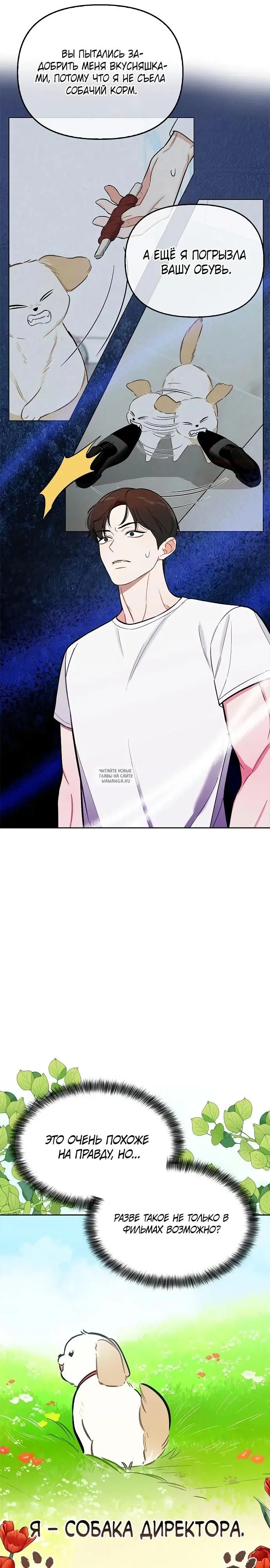 Page 11.000