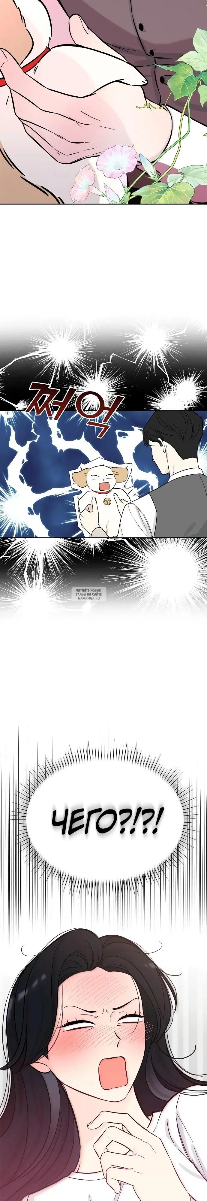 Page 26.000