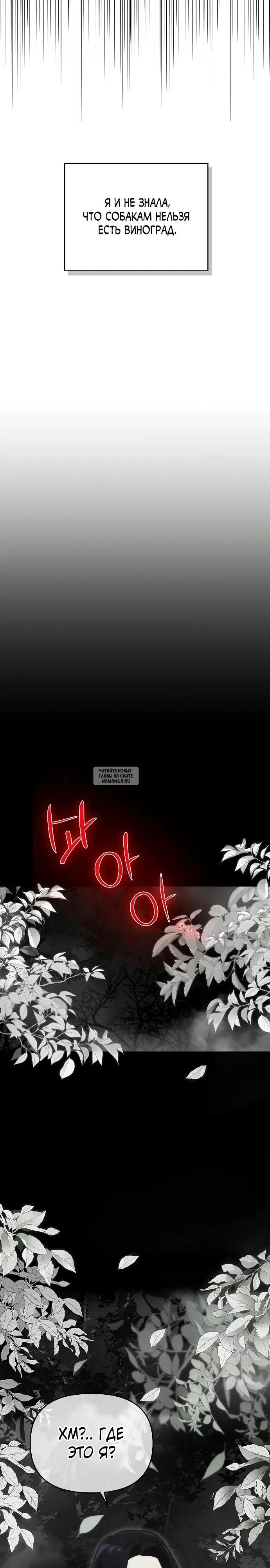 Page 27.000