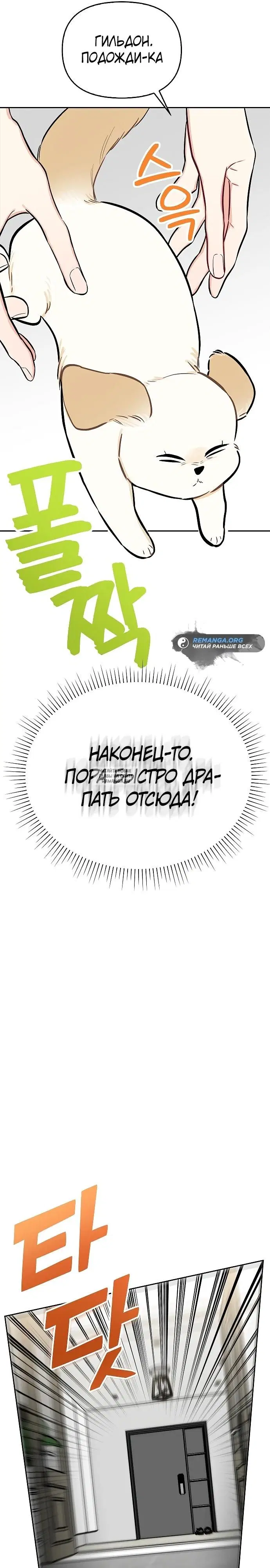 Page 29.000