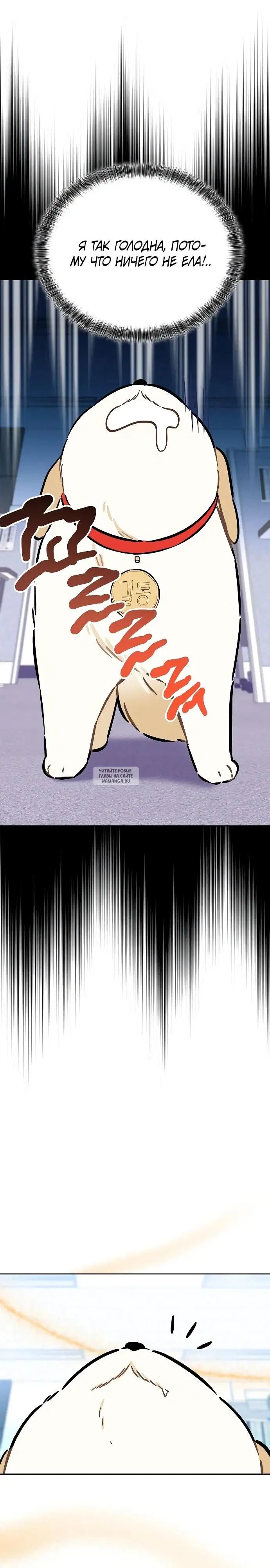 Page 21.000