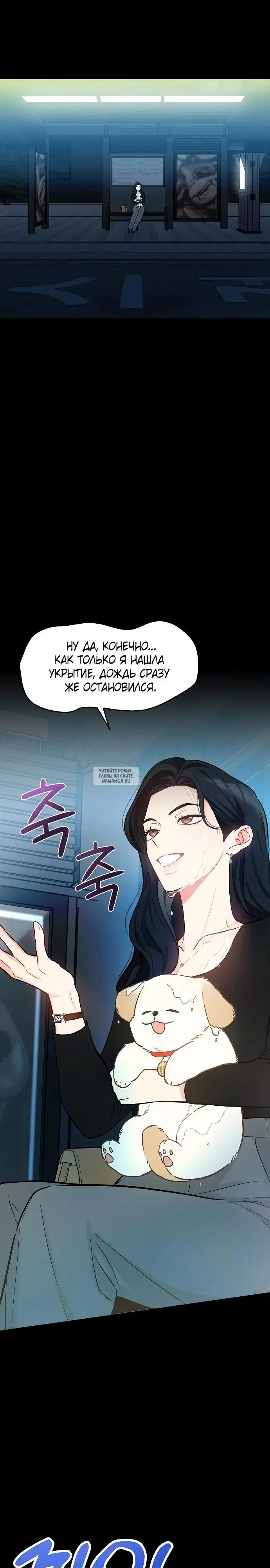 Page 31.000