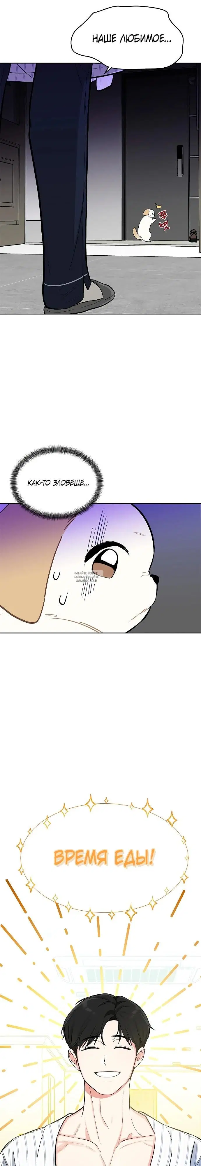 Page 31.000