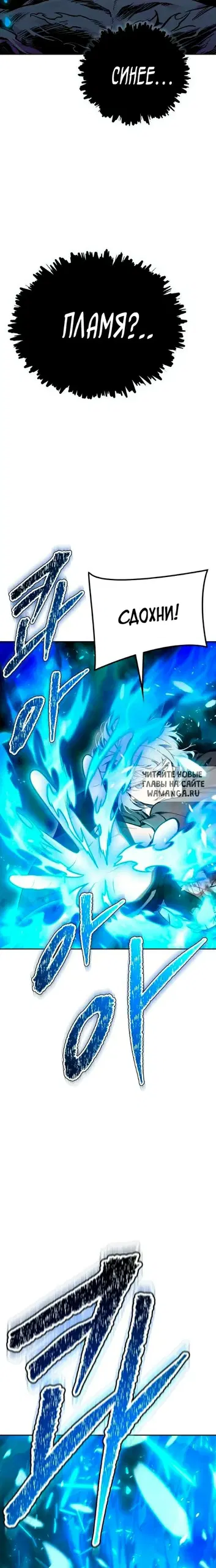 Page 31.000