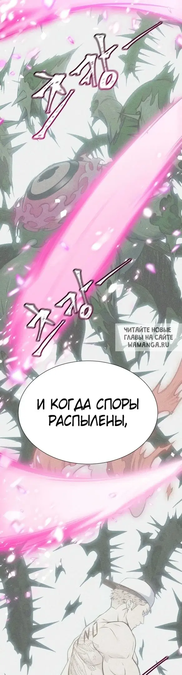 Page 41.000