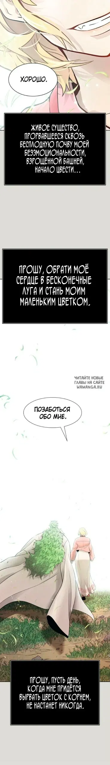Page 50.000