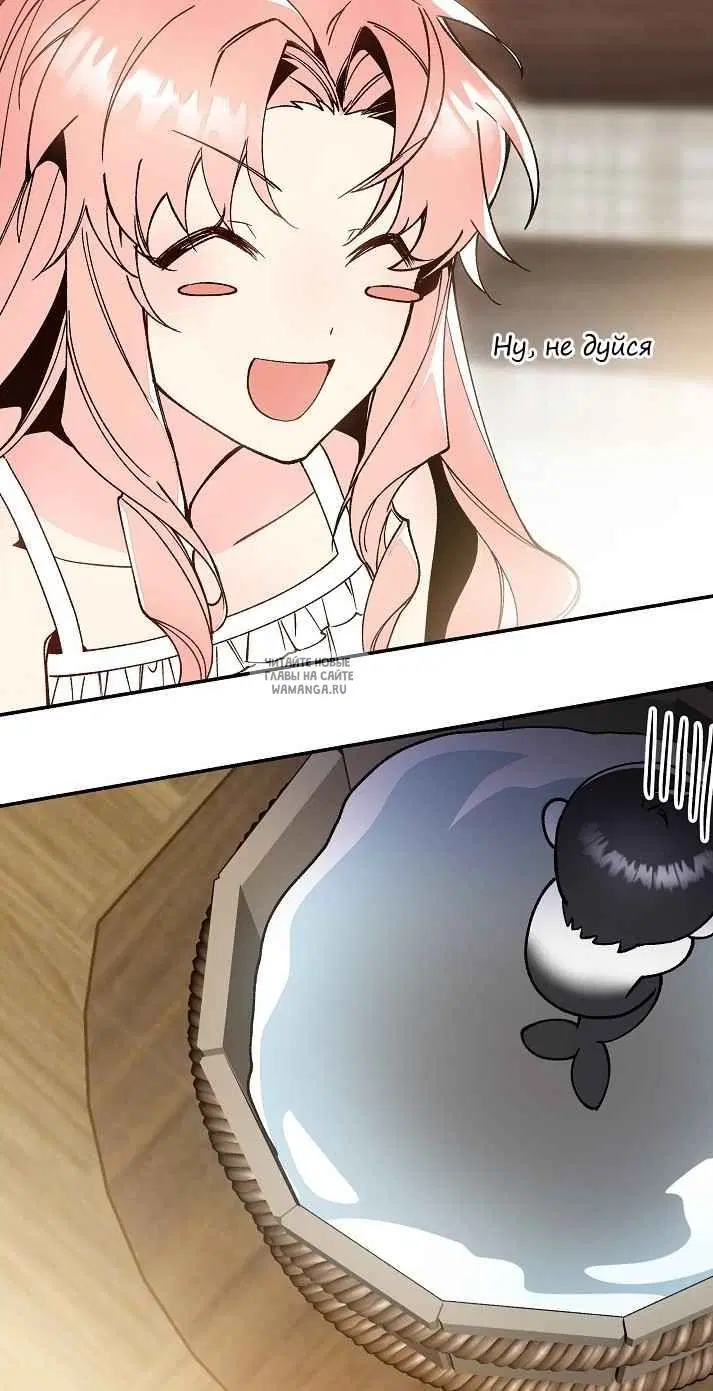 Page 35.000