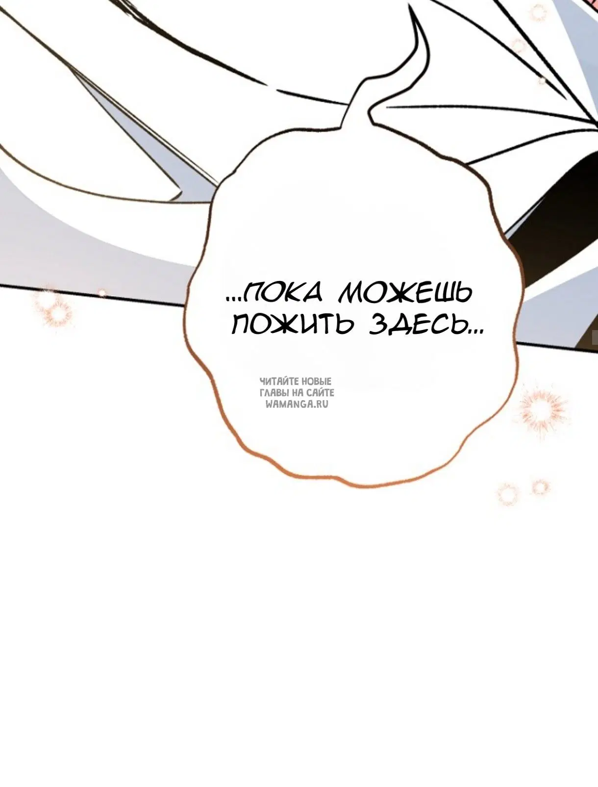 Page 51.000