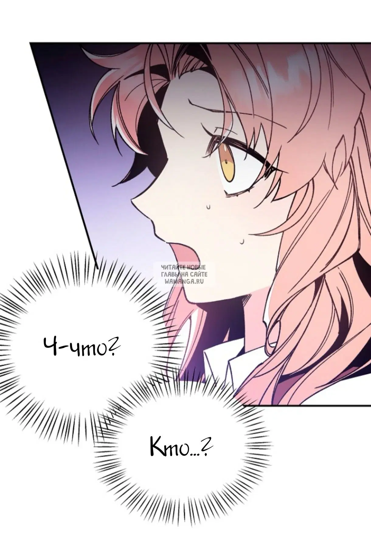 Page 81.000