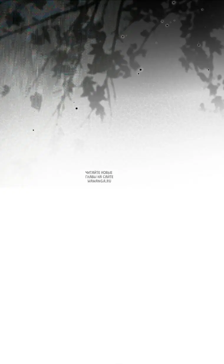 Page 58.000