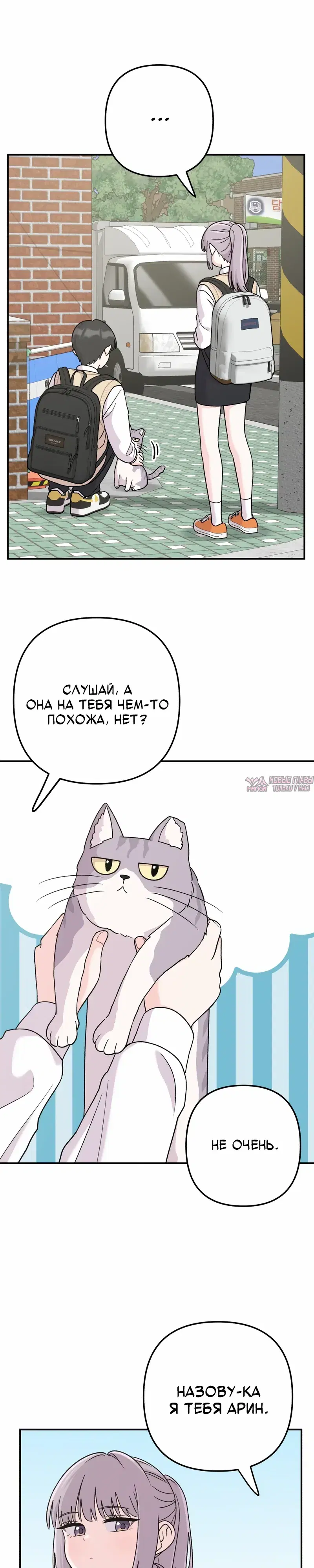 «Операция «Поиск трепета»», глава 15, страница 4.000000000