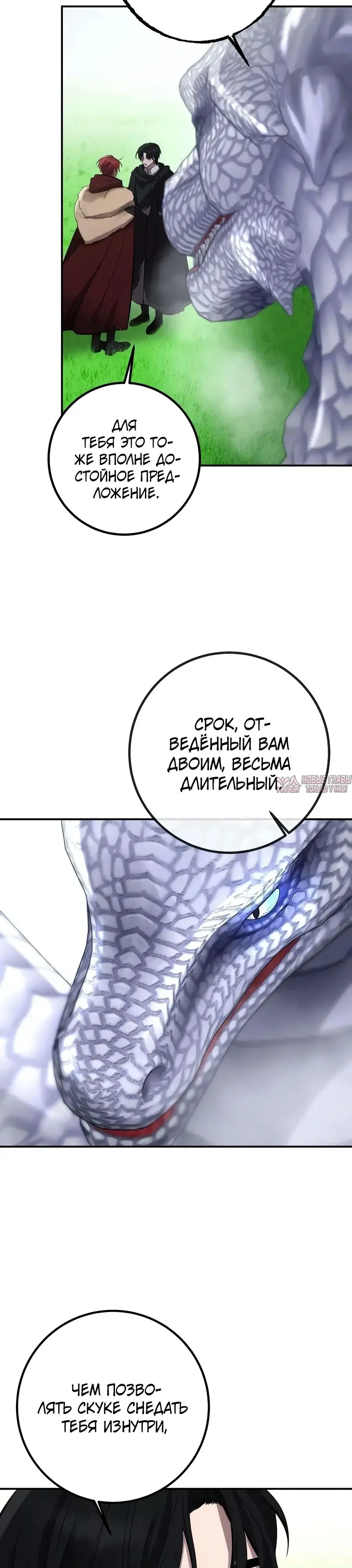 Page 26.000