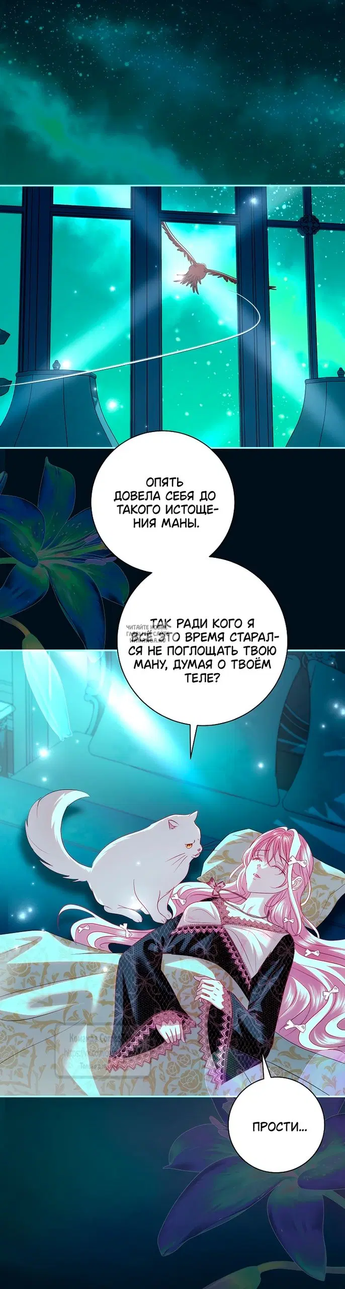 Page 41.000