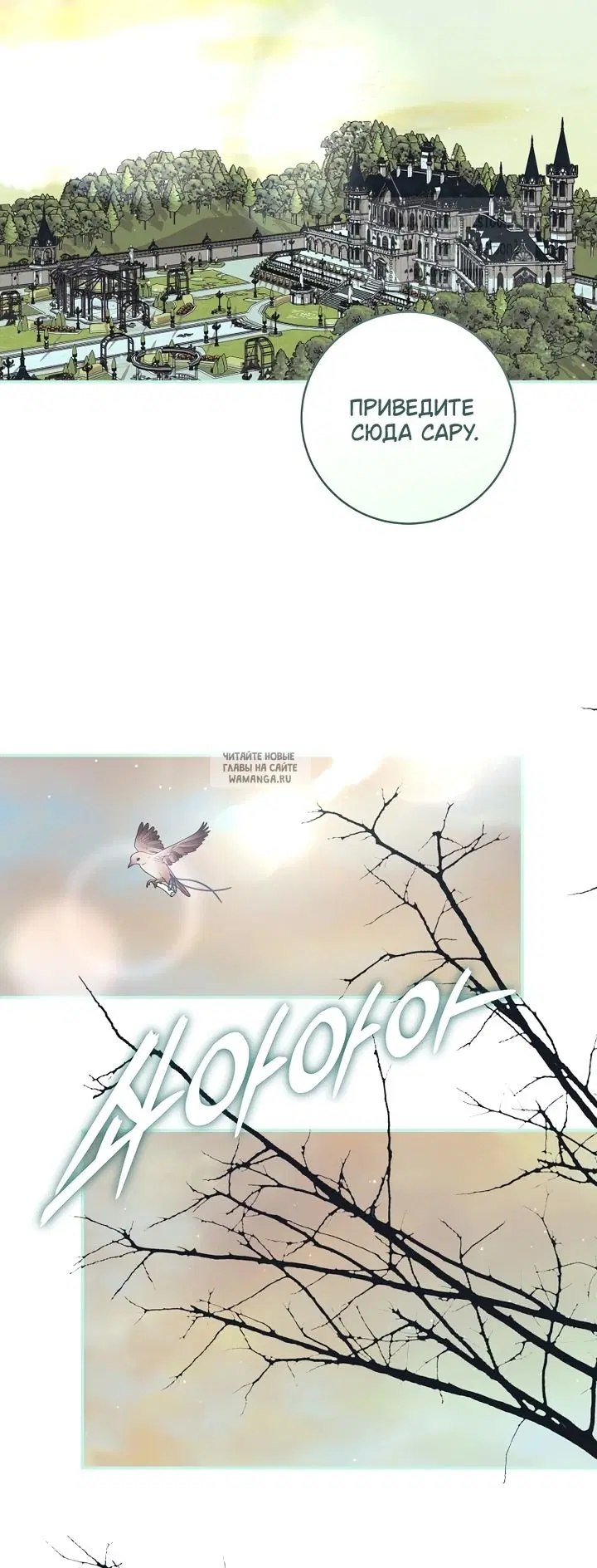 Page 51.000
