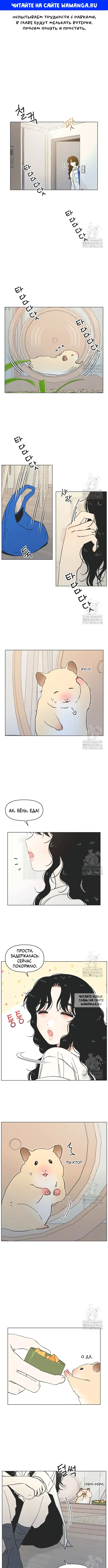 Page 1.000