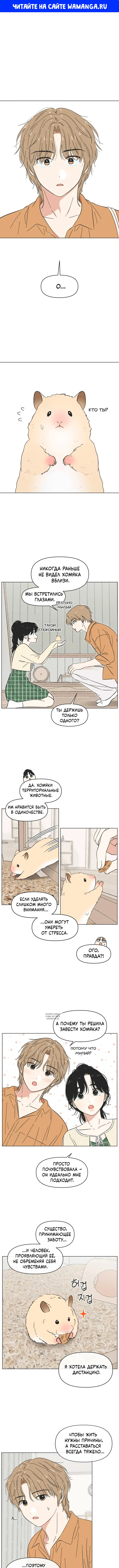 Page 1.000