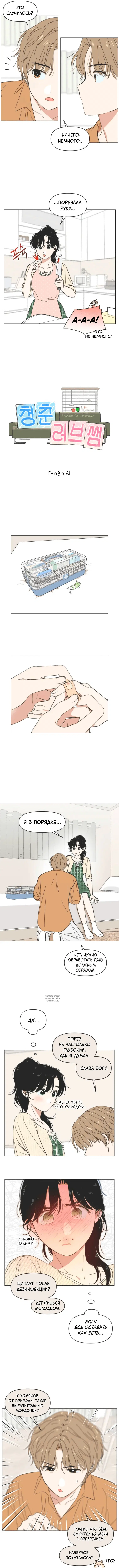 Page 3.000