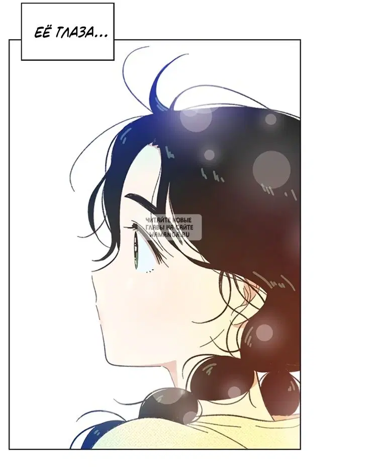 Page 33.000