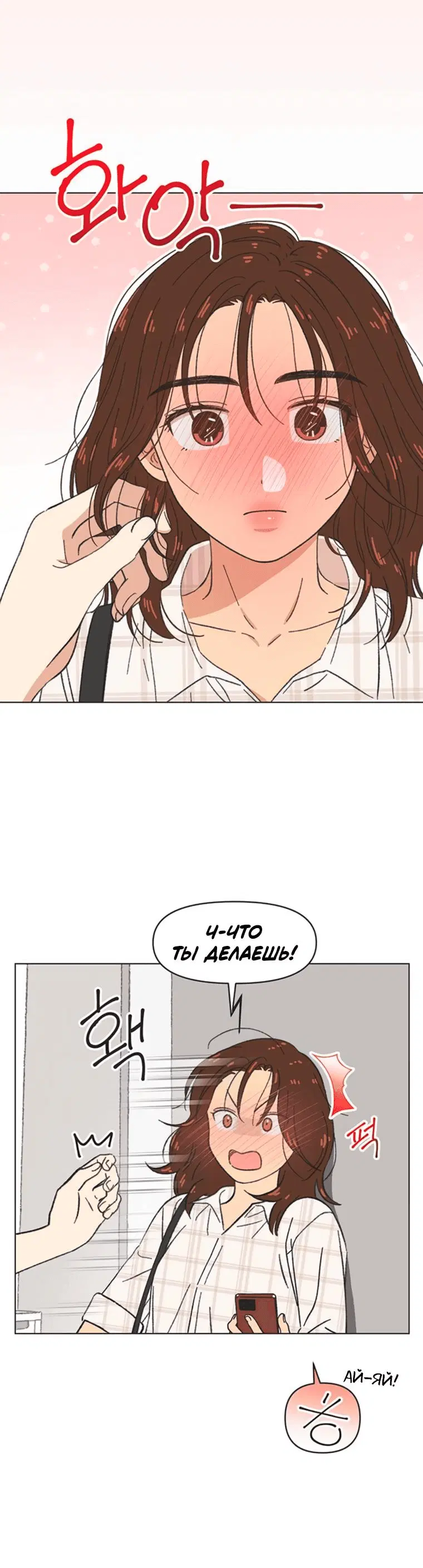 Page 5.001