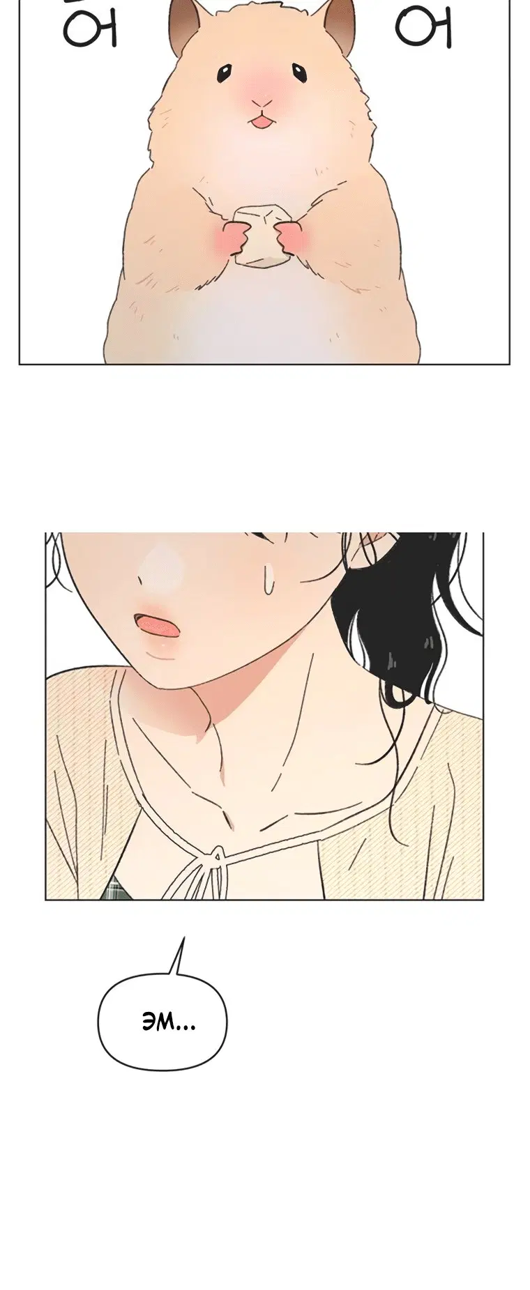 Page 6.001