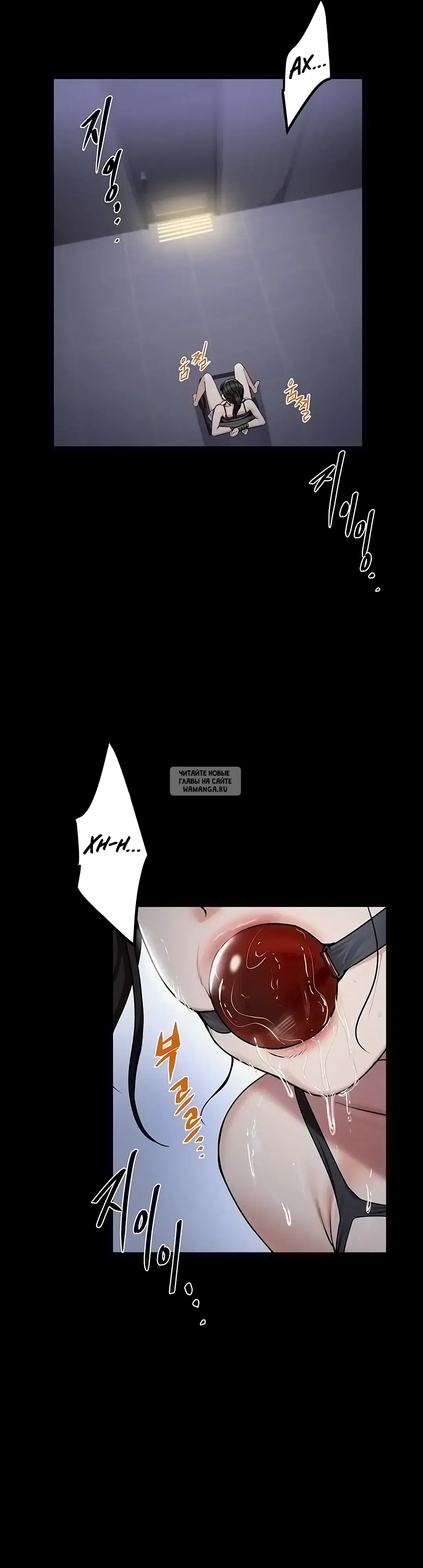 Page 51.000