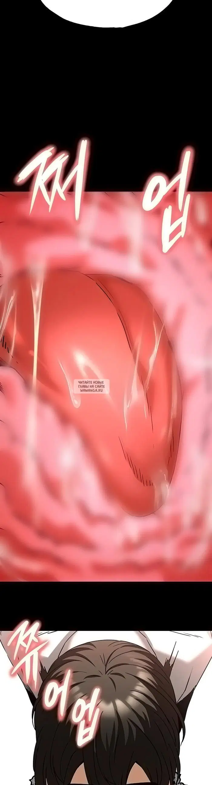 Page 51.000