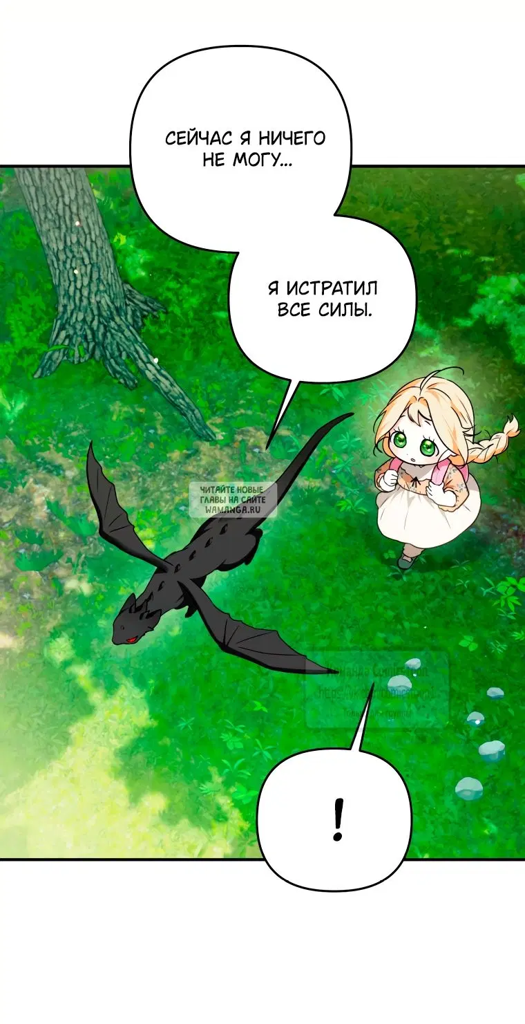 Page 46.000