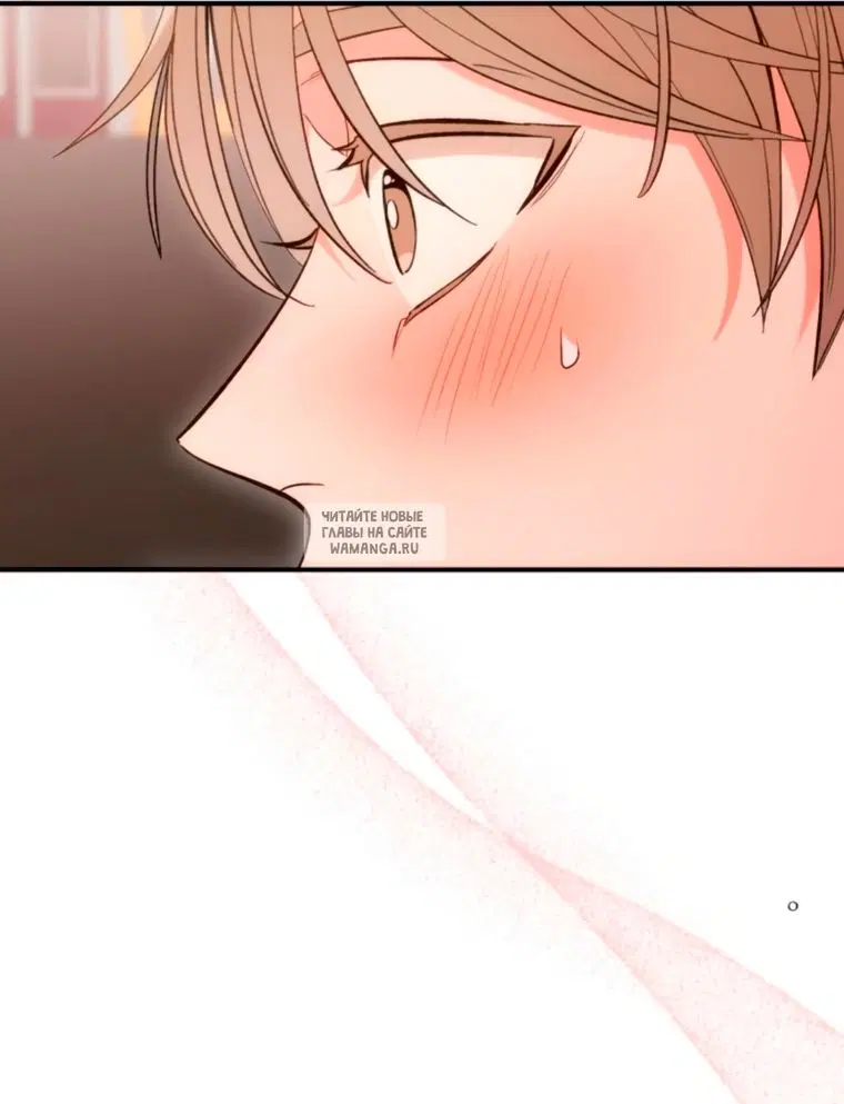 Page 54.000