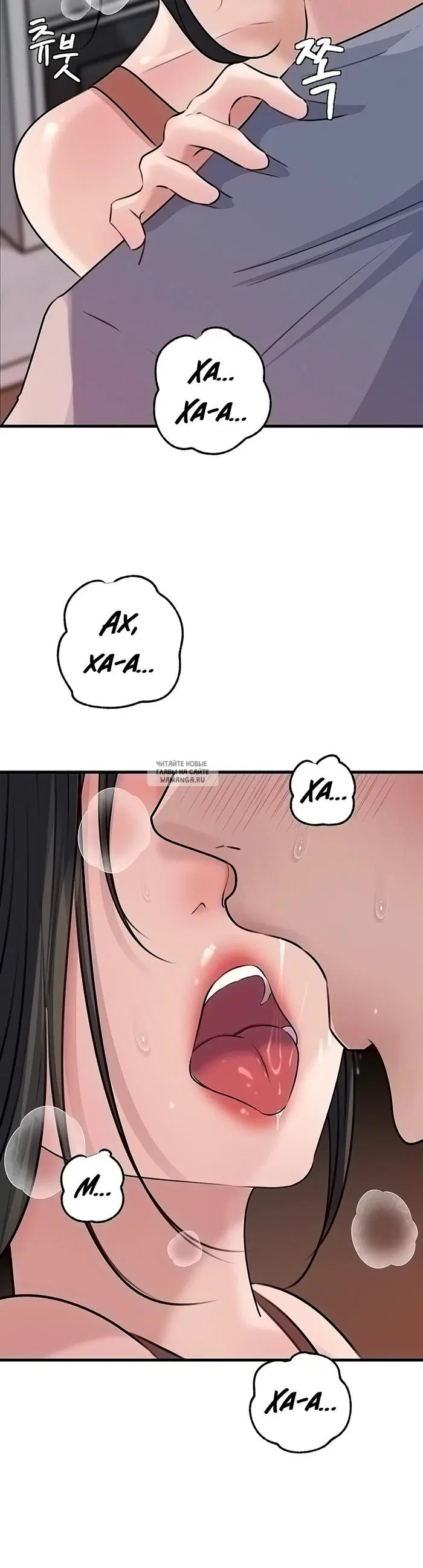 Page 41.000