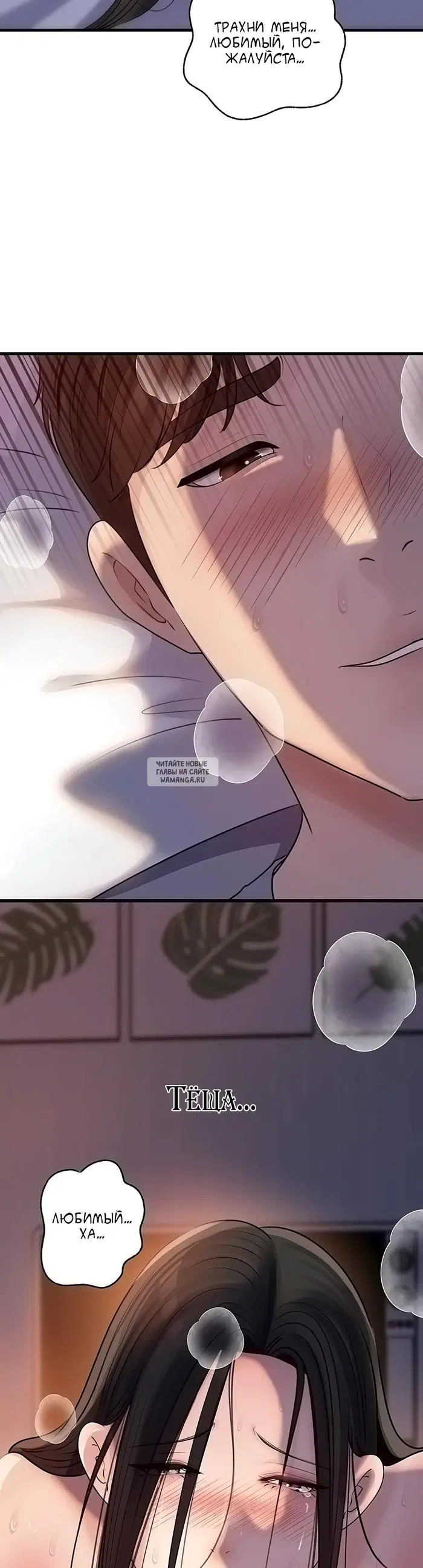 Page 41.000