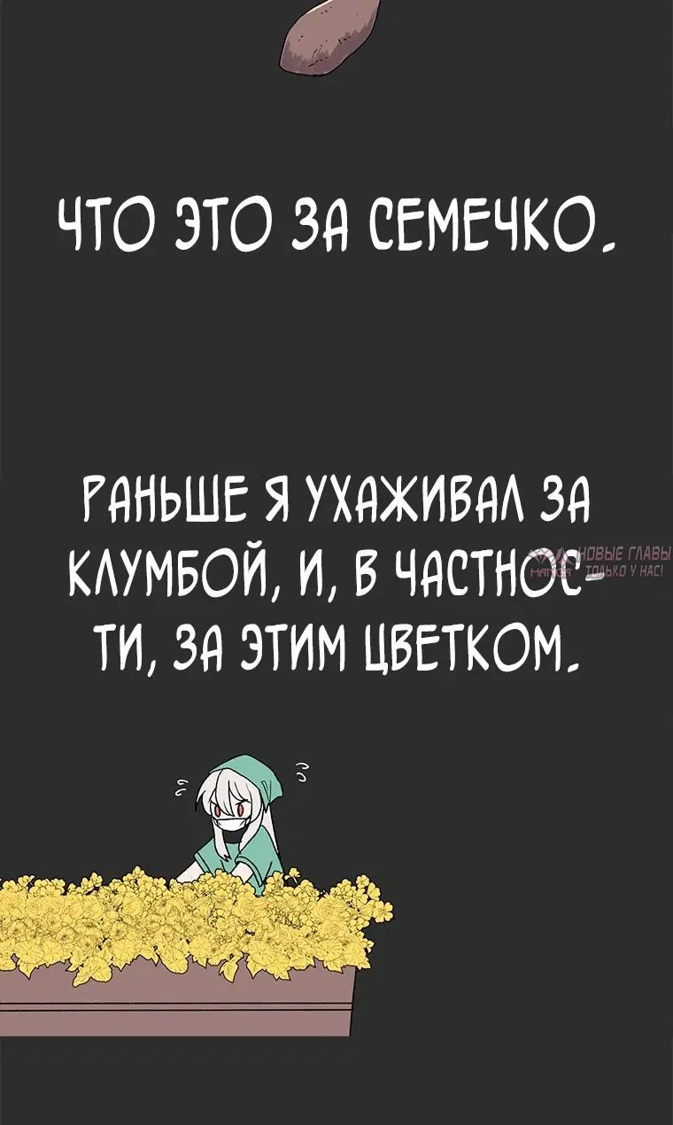 «Осколок времени», глава 5, страница 1.002000000