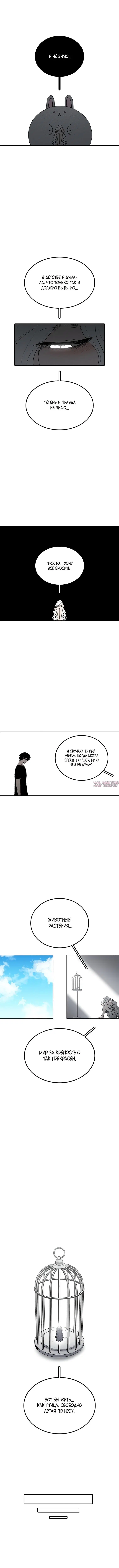 «Осколок времени», глава 193, страница 6.000000000