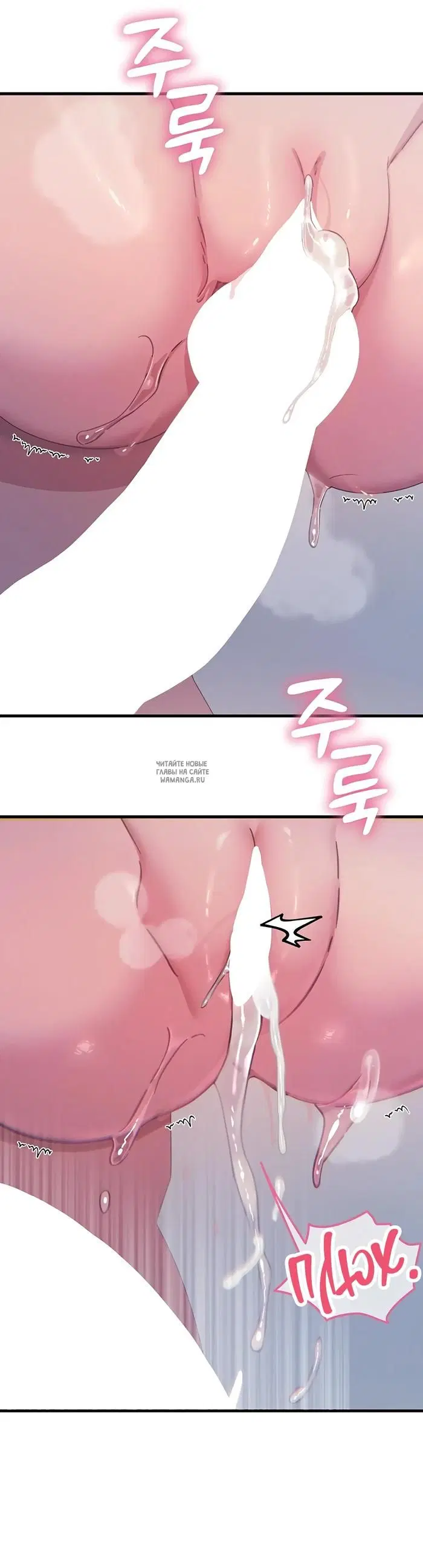 Page 31.000