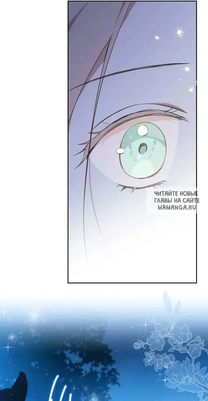 Page 38.000