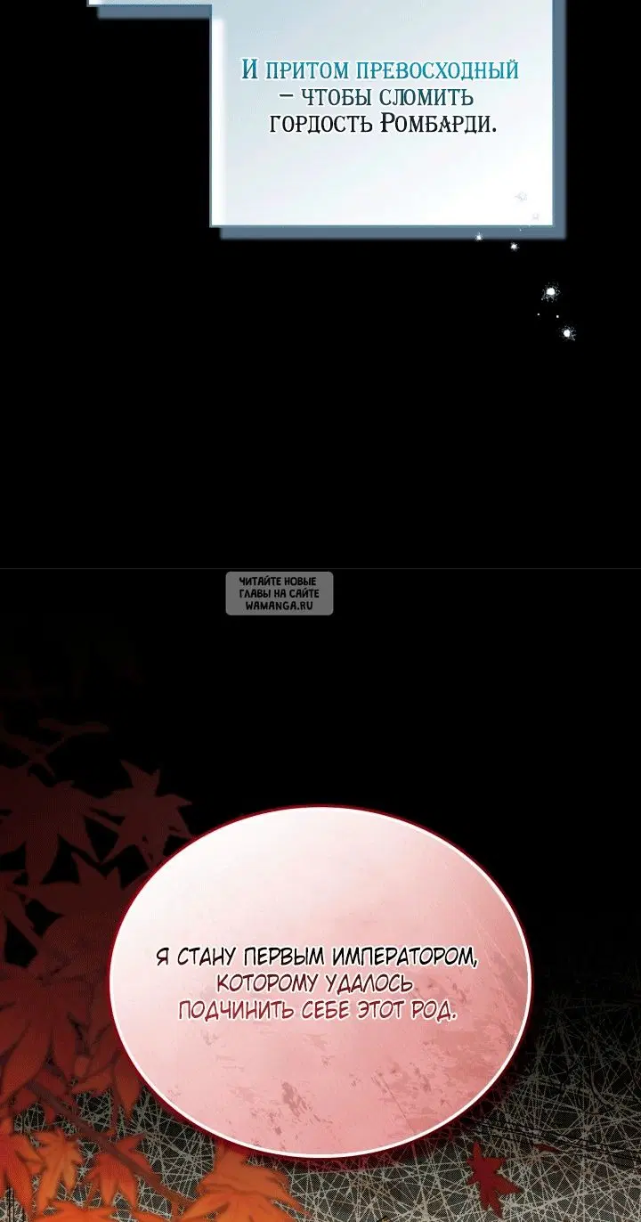 Page 31.000
